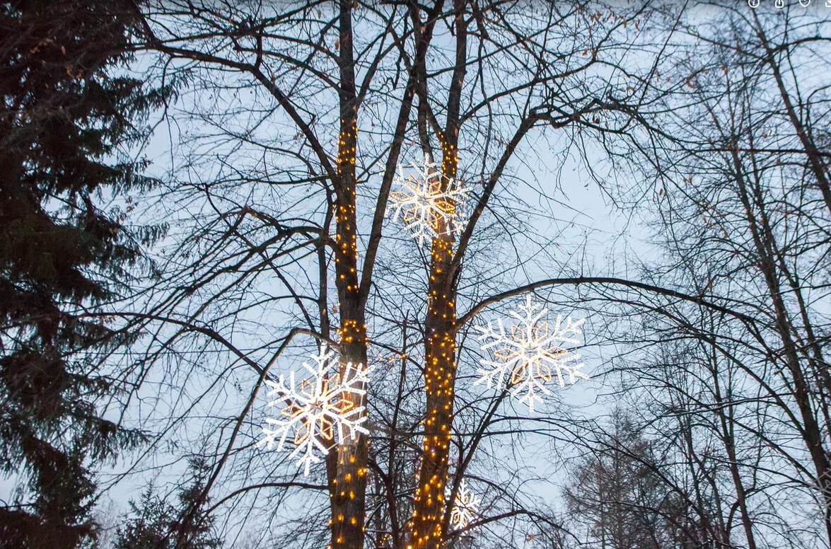 Фото Ужасы города. Опубликованы самые страшные легенды о Новосибирске в пятницу 13-го 12